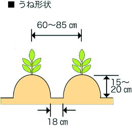 畝形状